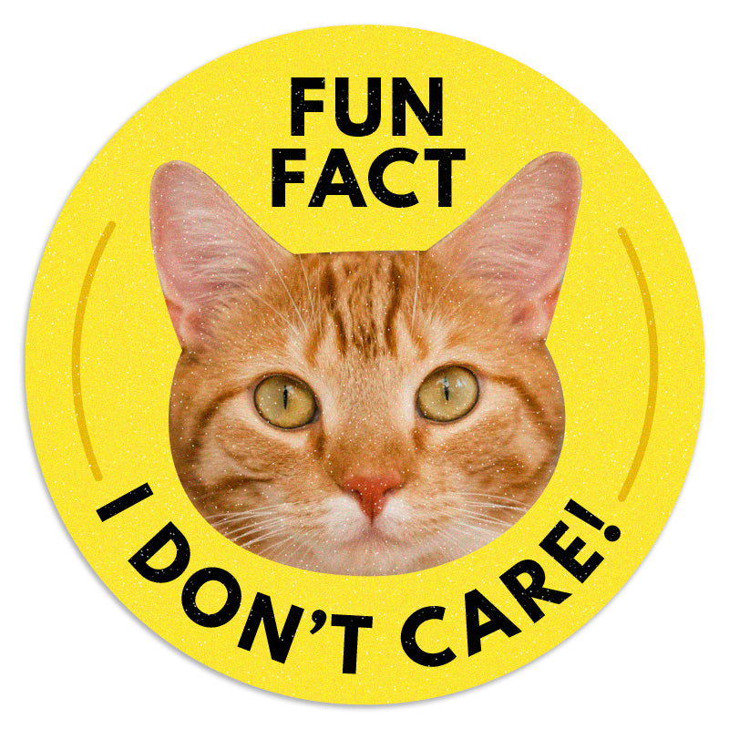 Fun Fact, I Don’t Care - Vinyl Sticker